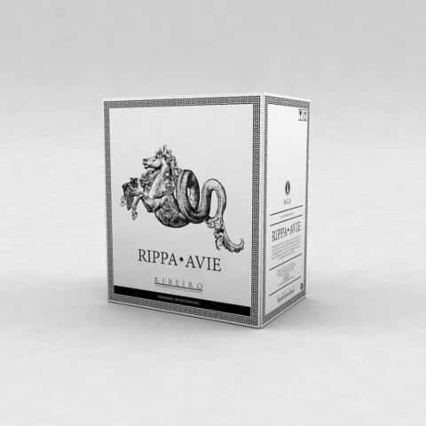 caja_Rippa_AVIE2